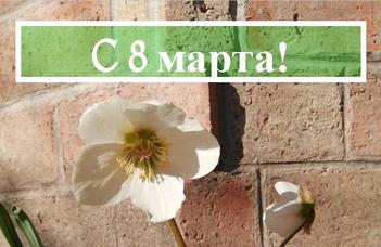С 8 марта!